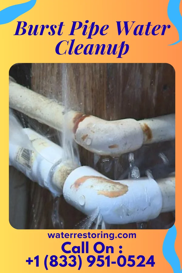 Burst Pipe Water Cleanup in New Salem, KS