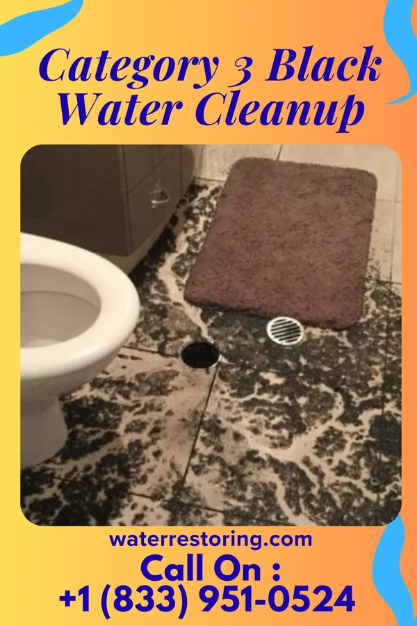 Category 3 Black Water Cleanup in New Salem, KS