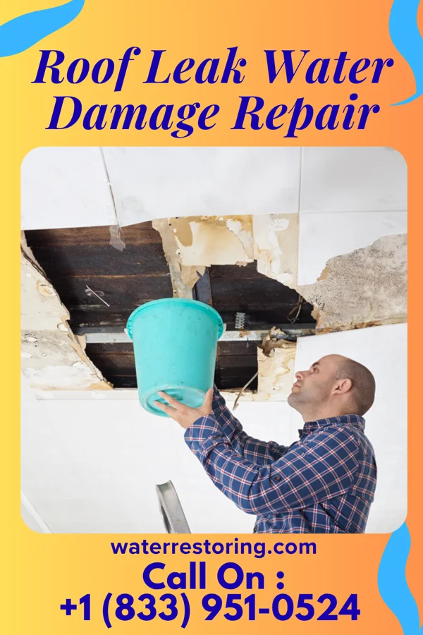 Roof Leak Water Damage Repair in New Salem, KS