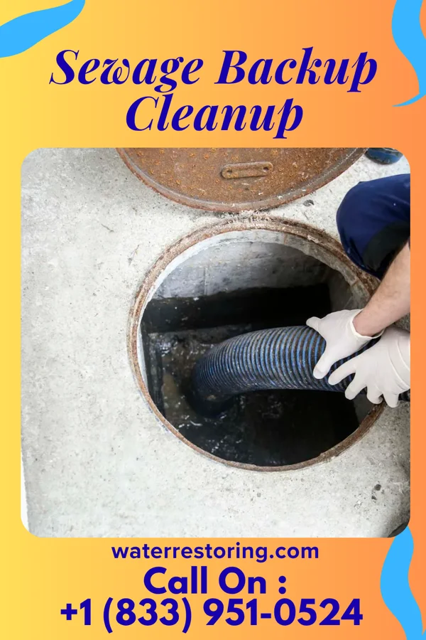 Sewage Backup Cleanup in New Salem, KS